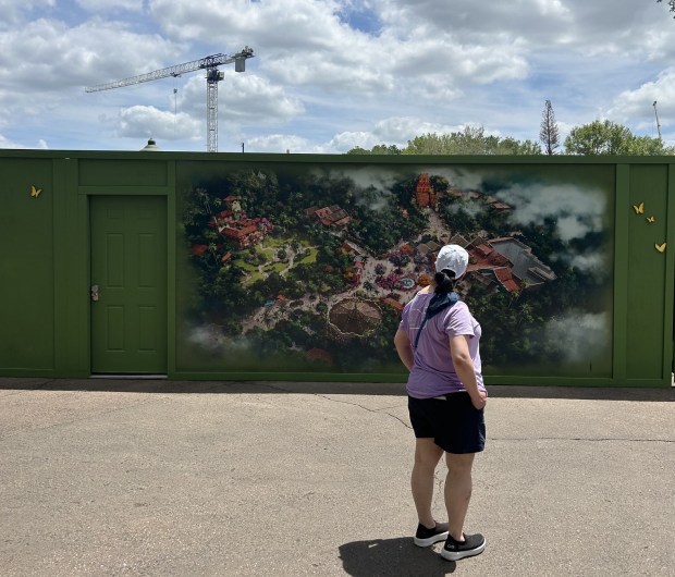 A visitor at Disney's Animal Kingdom looks at a giant rendering of the under-construction Tropical Americas section of the theme park. (Dewayne Bevil/Orlando Sentinel)