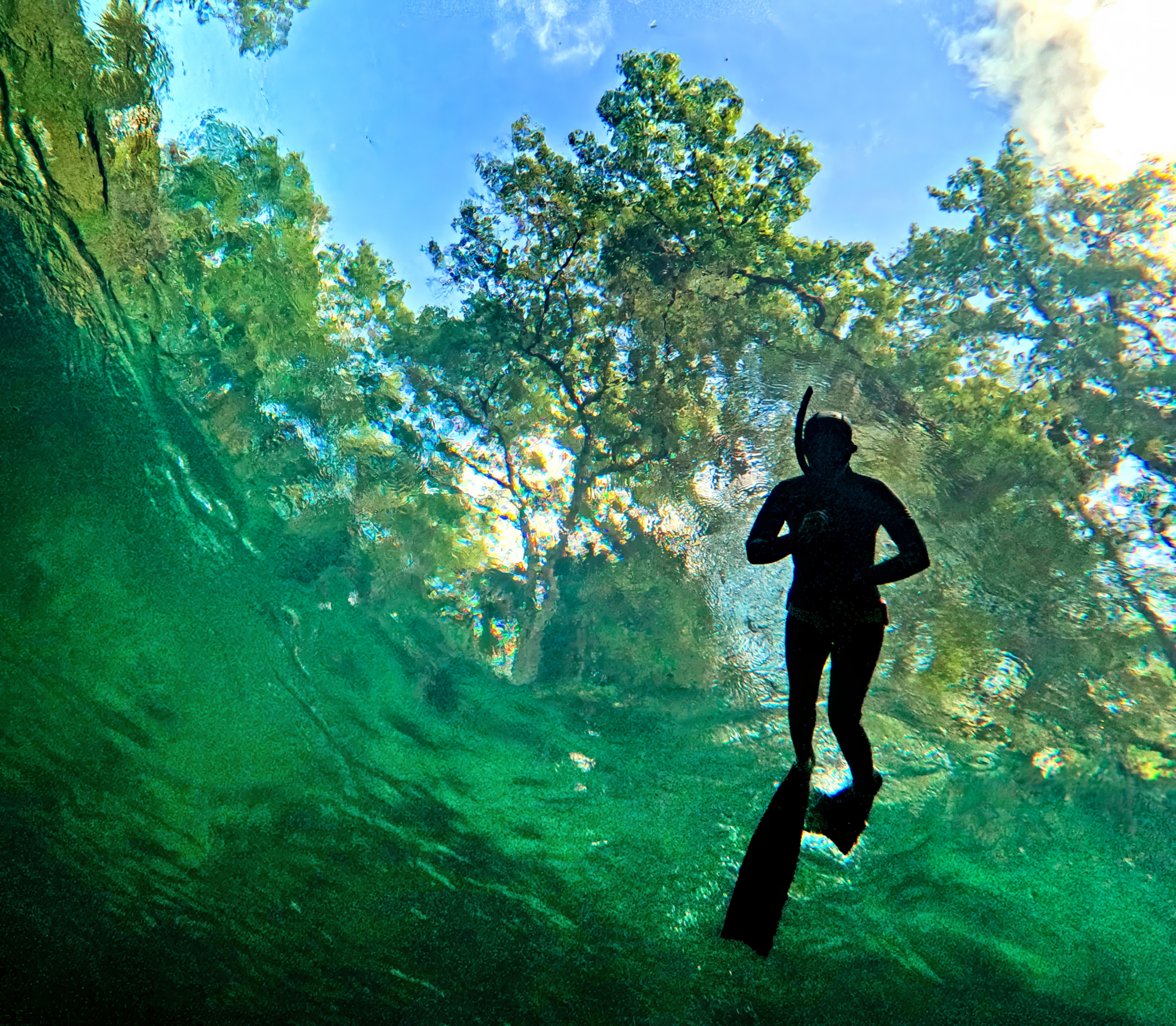 SNORKELING THE BLUE â A snorkeler passes over the boil...
