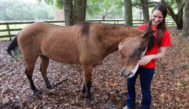 Orange County woman fights sprawl, DeSantis administration