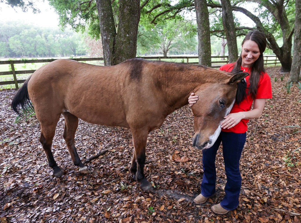 Orange County woman fights sprawl, DeSantis administration