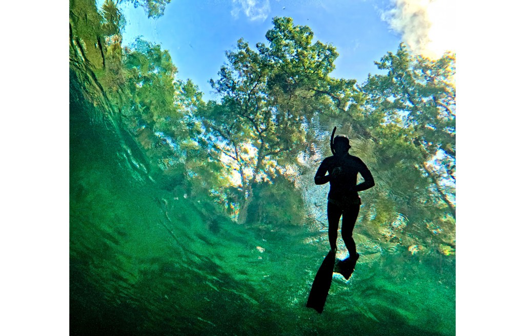 Blue Spring 2026 swimming season opens – Orlando Sentinel