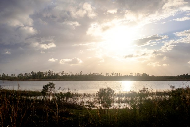 The sun begins to set near Farles Prairie on the Florida Trail in Ocala National Forest on April 2, 2026. (Patrick Connolly/Orlando Sentinel)