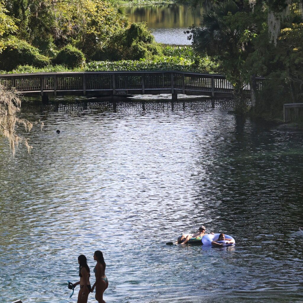 Letters: Conserve water | What is Bondi hiding?