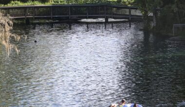 Letters: Conserve water | What is Bondi hiding?