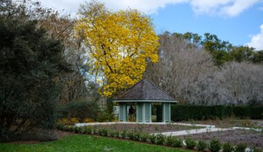 Letters: Don’t spoil Leu Gardens | Juries and justice