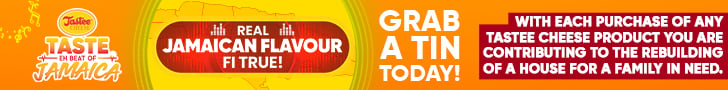 Tastee-Cheese-Website Ad 2 - 728x90