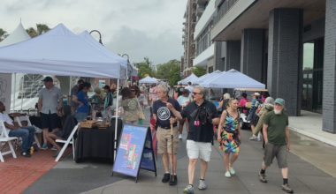 Hundreds turn out for Word of South Festival, combining the art of music with books