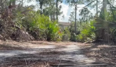 Martin County celebrates the success of conservation efforts funded by a 2024 half-cent sales tax increase