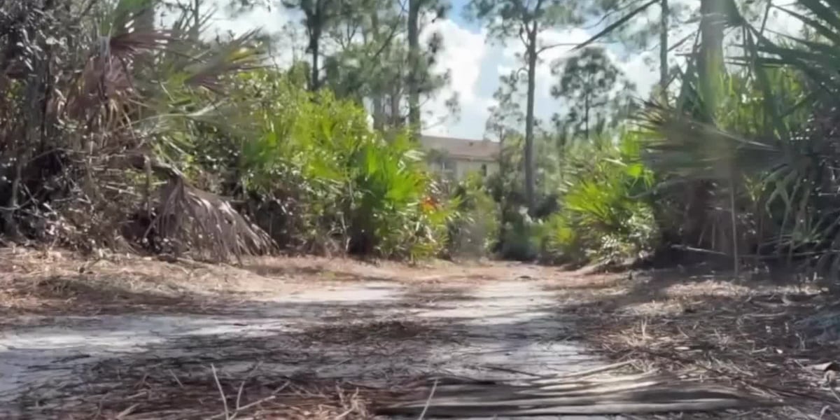 Martin County celebrates the success of conservation efforts funded by a 2024 half-cent sales tax increase