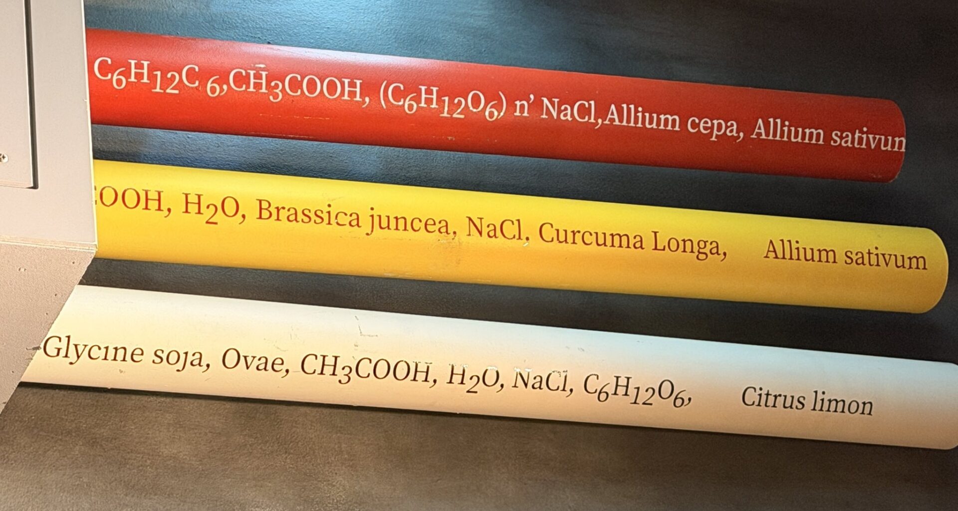 DINOSAUR easter egg spotted at Universal Orlando