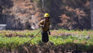 Growing wildfires blamed for death of Florida firefighter, destruction of 120 Georgia homes