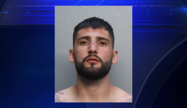Miami police detain driver who fled scene after hitting construction worker - WSVN 7News | Miami News, Weather, Sports