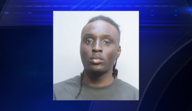 Man arrested at Miami International Airport with 40 pounds of cannabis in luggage - WSVN 7News | Miami News, Weather, Sports