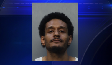 Hialeah police capture suspect in series of vehicle burglaries - WSVN 7News | Miami News, Weather, Sports