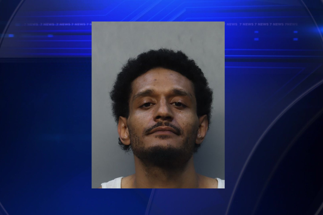 Hialeah police capture suspect in series of vehicle burglaries - WSVN 7News | Miami News, Weather, Sports