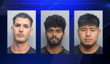 Oisnel Gonzalez-Rodriguez, Jacinto Brito-Raymundo and Kalaivanan Murugan