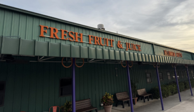 Citrus Season Forecast Improves – Tallahassee Reports