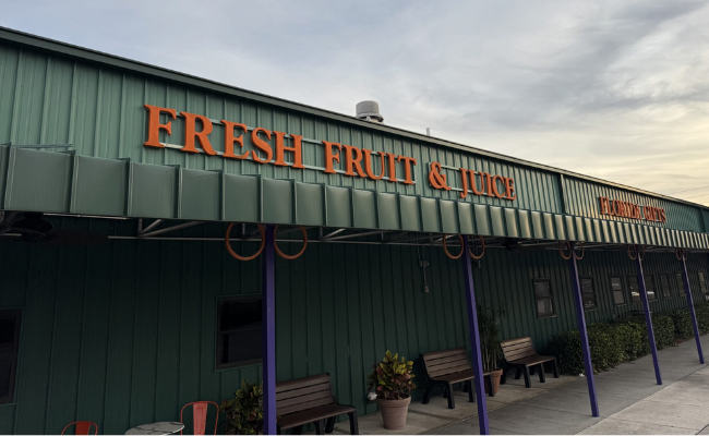 Citrus Season Forecast Improves – Tallahassee Reports