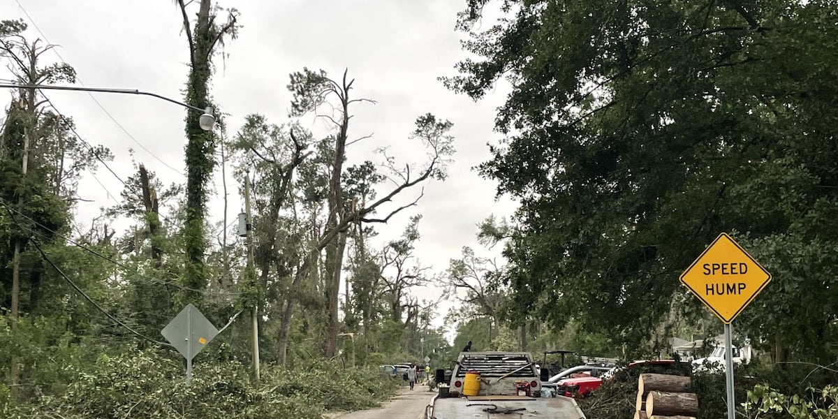 FEMA approves over $12M to reimburse City of Tallahassee for 2024 storm debris cleanup, emergency response