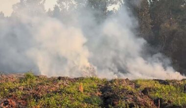 Wildfires leave Amtrak passengers stranded overnight, effectively shut down train travel in and out of Florida