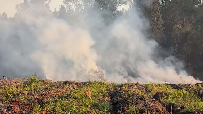 Wildfires leave Amtrak passengers stranded overnight, effectively shut down train travel in and out of Florida