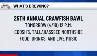 What’s Brewing - 25th Annual Crawfish Bawl