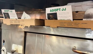 St. Lucie County Humane Society's 'Opie Project' turns takeout orders into adoption success stories