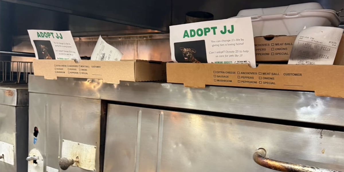 St. Lucie County Humane Society's 'Opie Project' turns takeout orders into adoption success stories