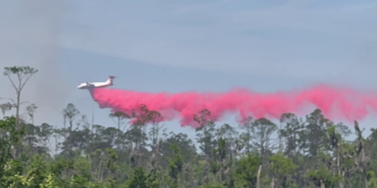 Multiple fires burn in North Central Florida; Evacuations in Putnam County