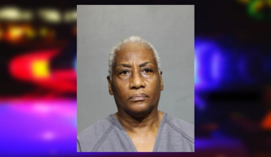 Woman ‘intentionally’ runs over group of baby ducklings because they ’made a mess in her yard’: JSO