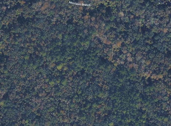 St. Johns County buys 33 acres of land near fairgrounds for future project