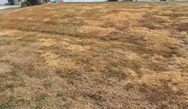 Lee County extends burn ban as drought conditions persist