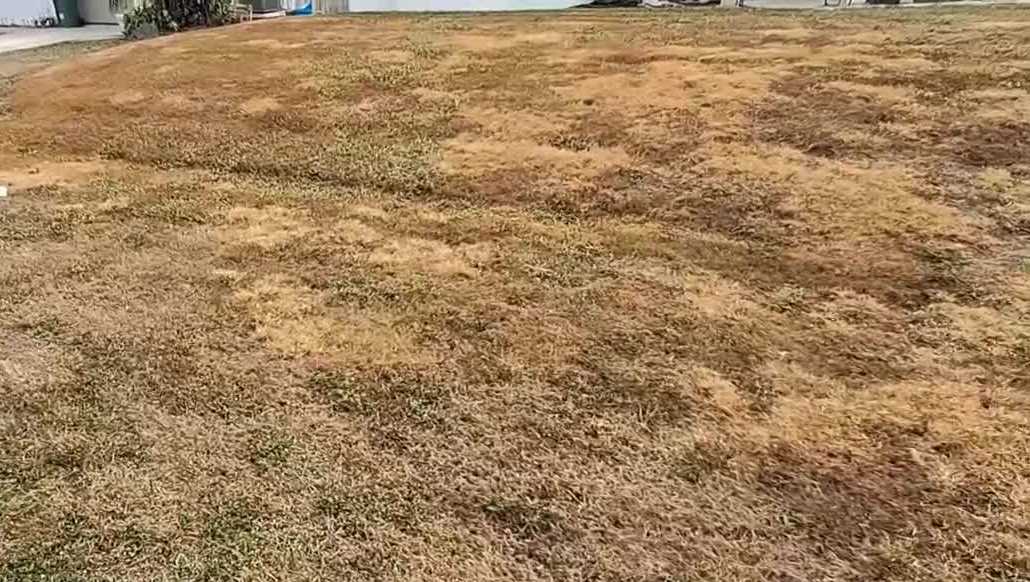 Lee County extends burn ban as drought conditions persist