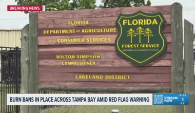 Burn bans are in place across Tampa Bay amid a red flag warning