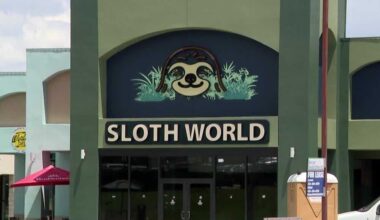 FWC investigation finds dozens of sloths died