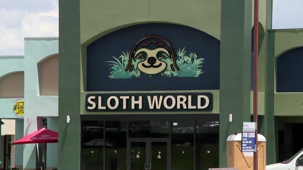 FWC investigation finds dozens of sloths died
