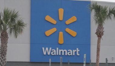 5 people hurt after two dogs fight inside Walmart in Palm Harbor