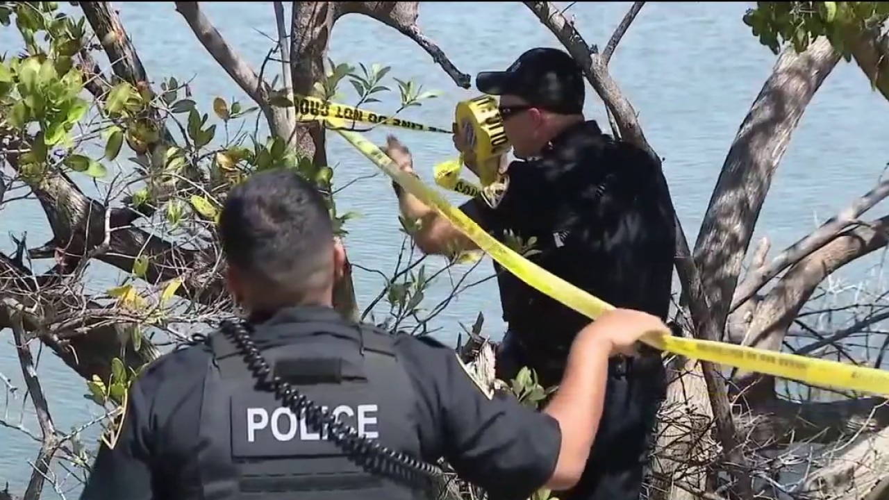 Human remains found near Howard Frankland Bridge