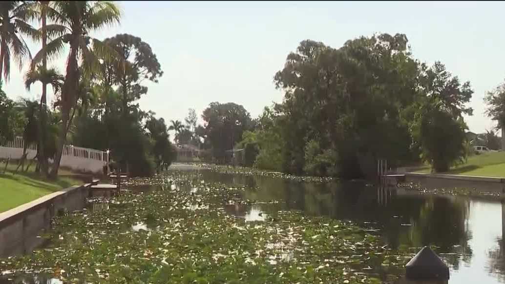 Anglers reel in invasive species at 2026 Southwest Florida Invasive Freshwater Fish Roundup