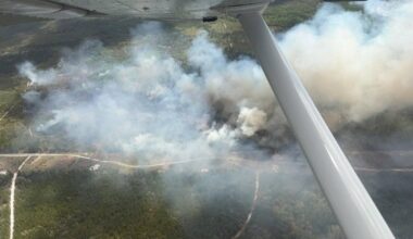 Florida wildfires: See map of current fires across the state