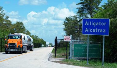 Environmental groups urge appeals court panel to lift halt on closing Florida's 'Alligator Alcatraz'