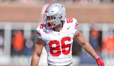 Tampa Bay Buccaneers logo