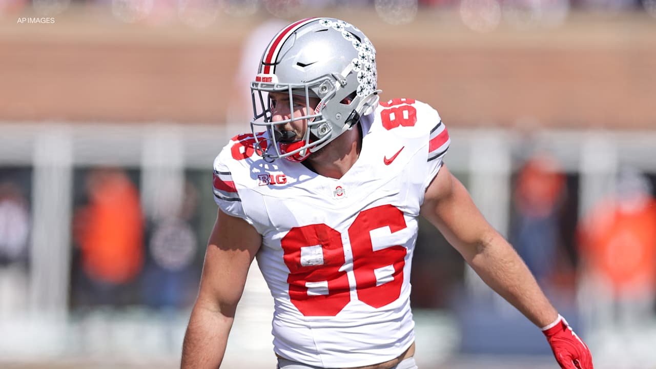 Tampa Bay Buccaneers logo