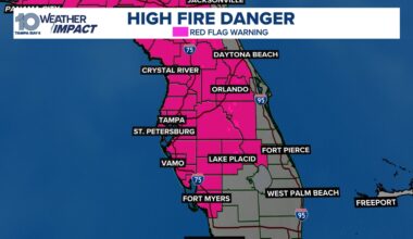 Red flag warning issued for entire Tampa Bay area: What that means for our wildfire risk