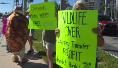 Protesters urge St. Pete Beach leaders to halt Country Thunder festival over turtle concerns