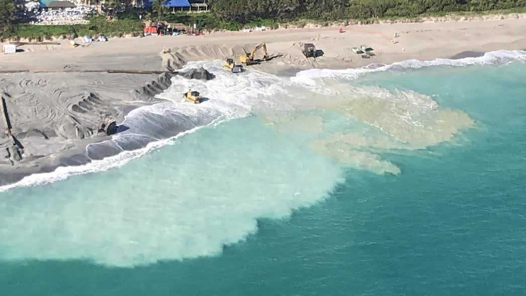 Researchers study how beach nourishment affects blacktip shark migration in South Florida