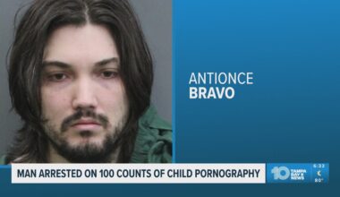 Tampa man facing 100 counts of child porn possession