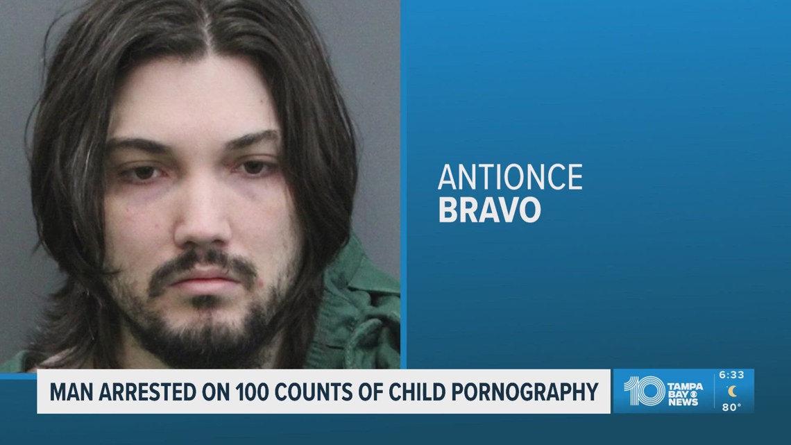 Tampa man facing 100 counts of child porn possession