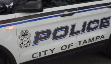 3-year-old shot in arm after mother's boyfriend leaves gun in bed, Tampa police say