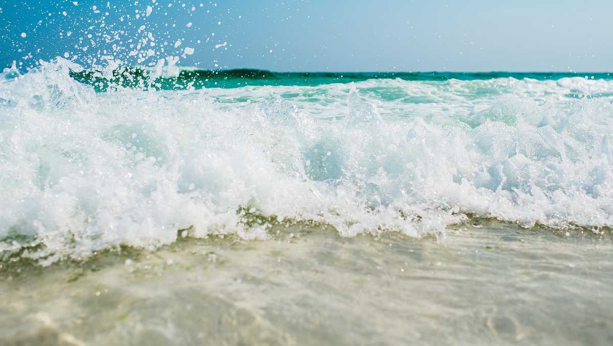 Fun things to do in South Florida